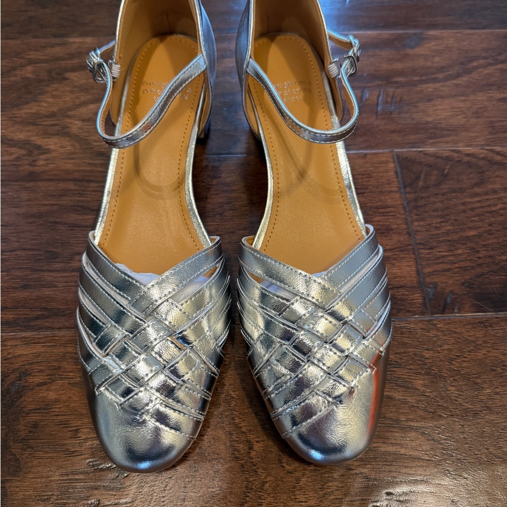 Elegant Silver Women's Shoes